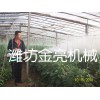 大棚噴施效果圖