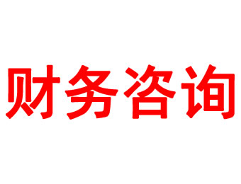財(cái)務(wù)咨詢