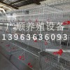 肉雞籠元寶籠