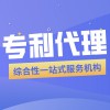 專(zhuān)利申請(qǐng)代理